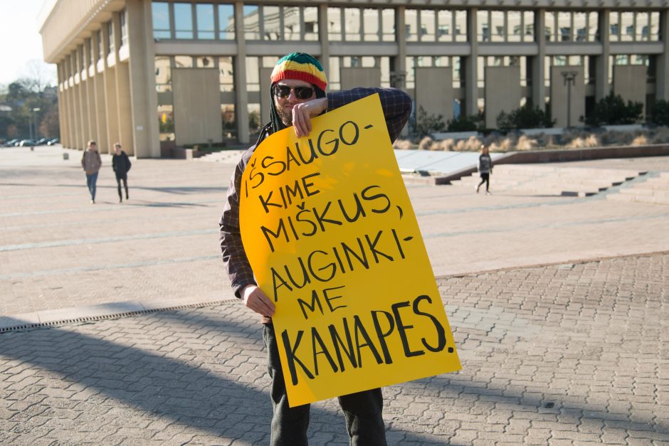 Apie 250 žmonių prie Seimo reikalavo dekriminalizuoti kanapių laikymą