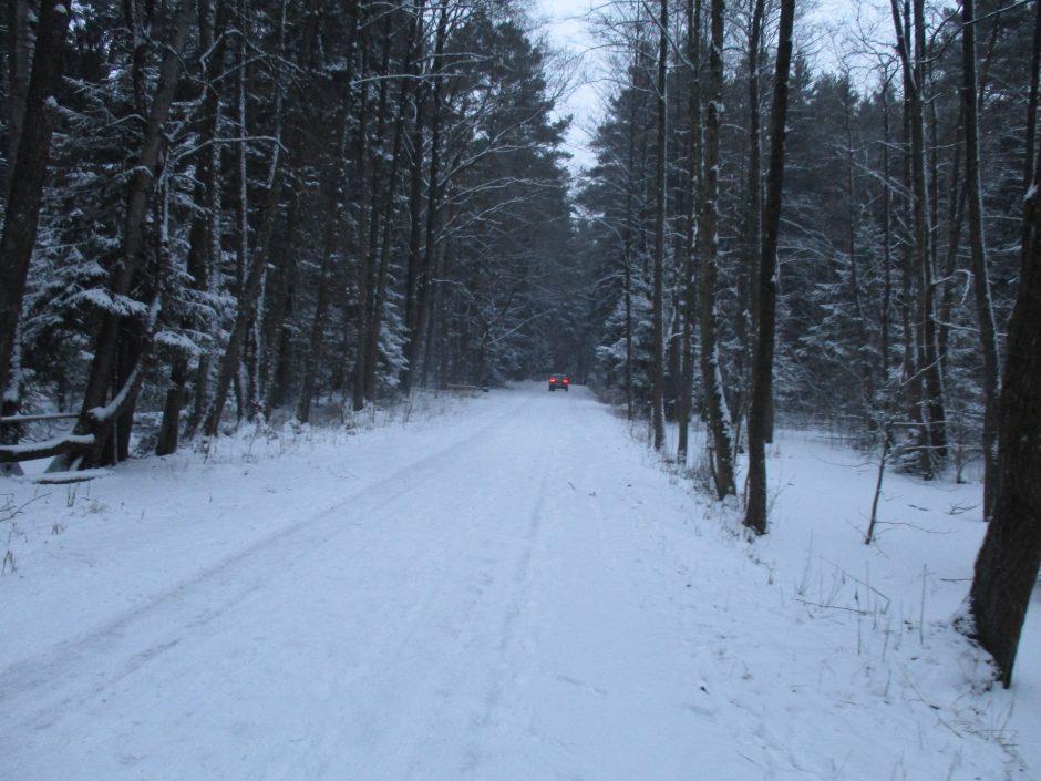 Zarasų rajone rastas sudegęs sunkvežimis