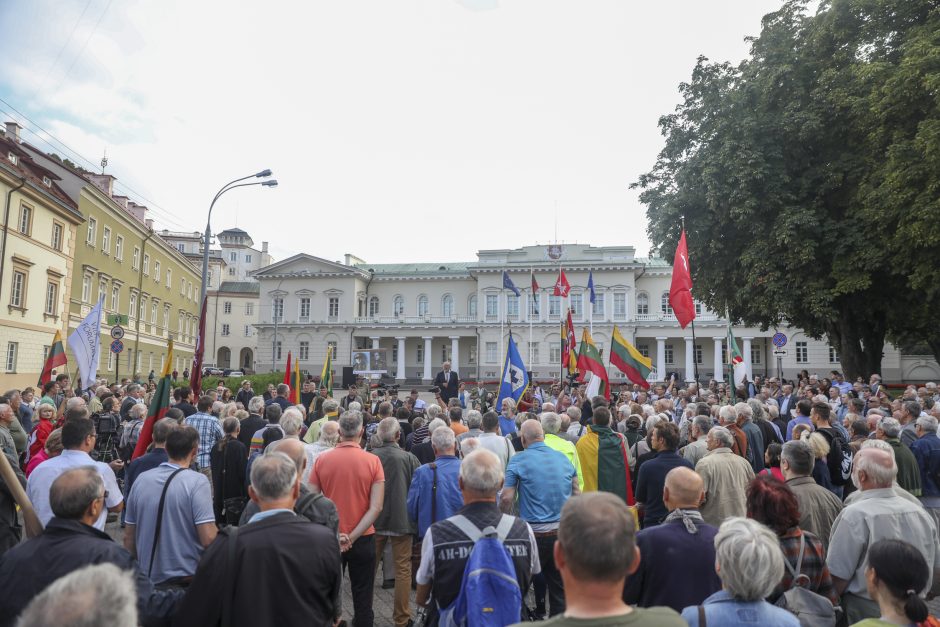 Mitingas S. Daukanto aikštėje