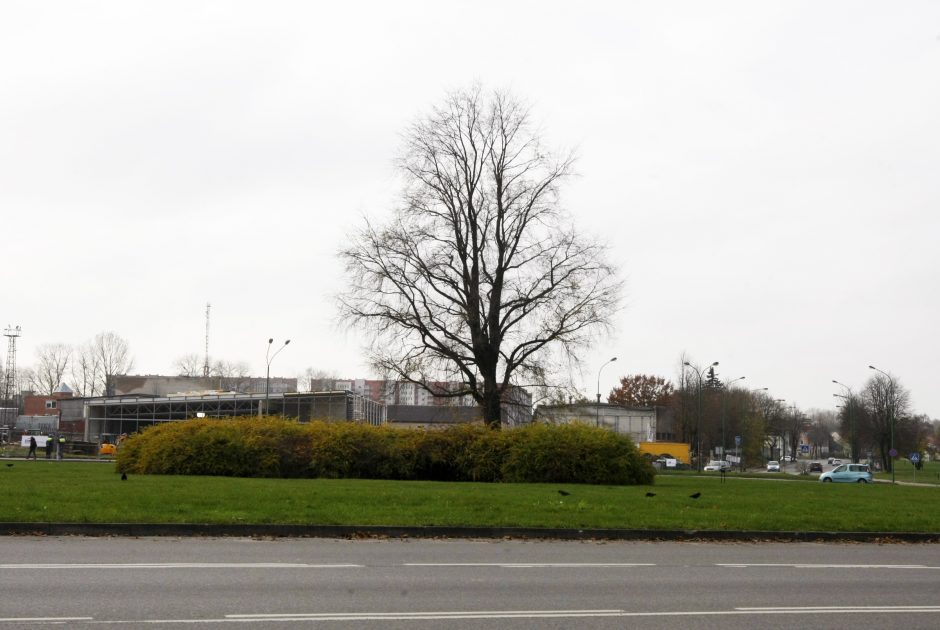 Klaipėdoje bus naikinama žiedinė sankryža