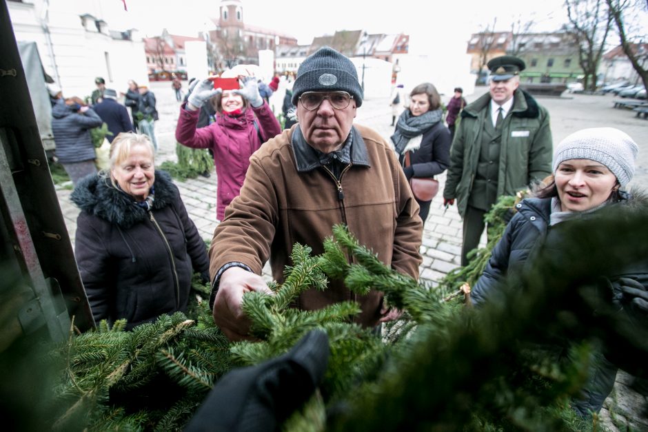 Į kauniečių namus iškeliavo tūkstančiai eglių šakų