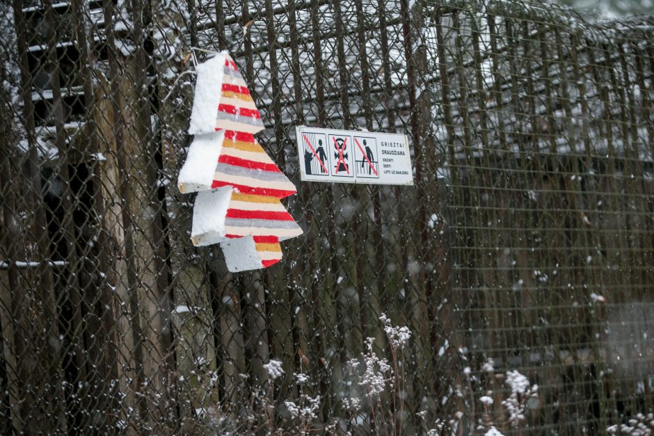 Kalėdines dovanas išvyniojo ir zoologijos sodo gyvūnai