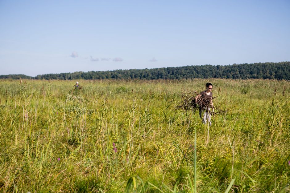 Kauno marių saloje robinzonai valgė kirmėles