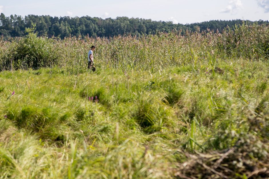 Kauno marių saloje robinzonai valgė kirmėles