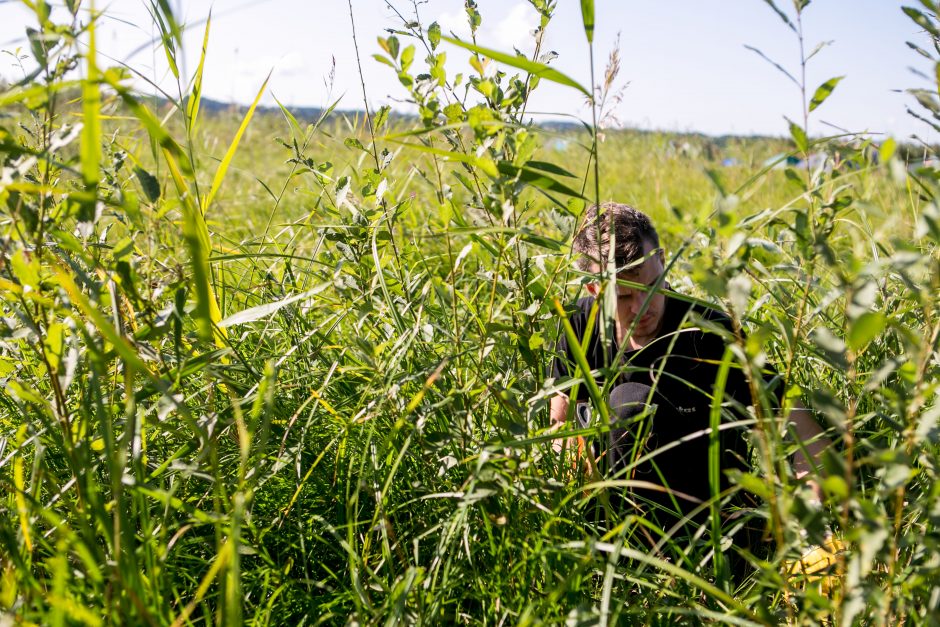 Kauno marių saloje robinzonai valgė kirmėles