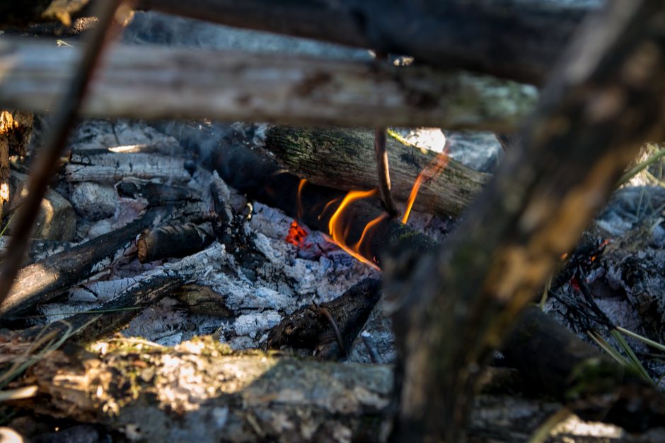 Kauno marių saloje robinzonai valgė kirmėles