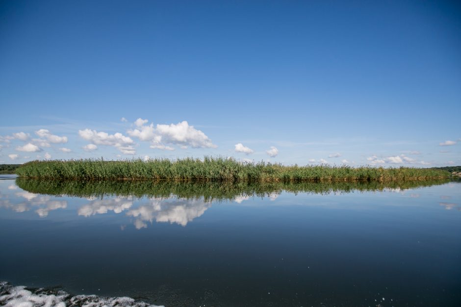 Kauno marių saloje robinzonai valgė kirmėles