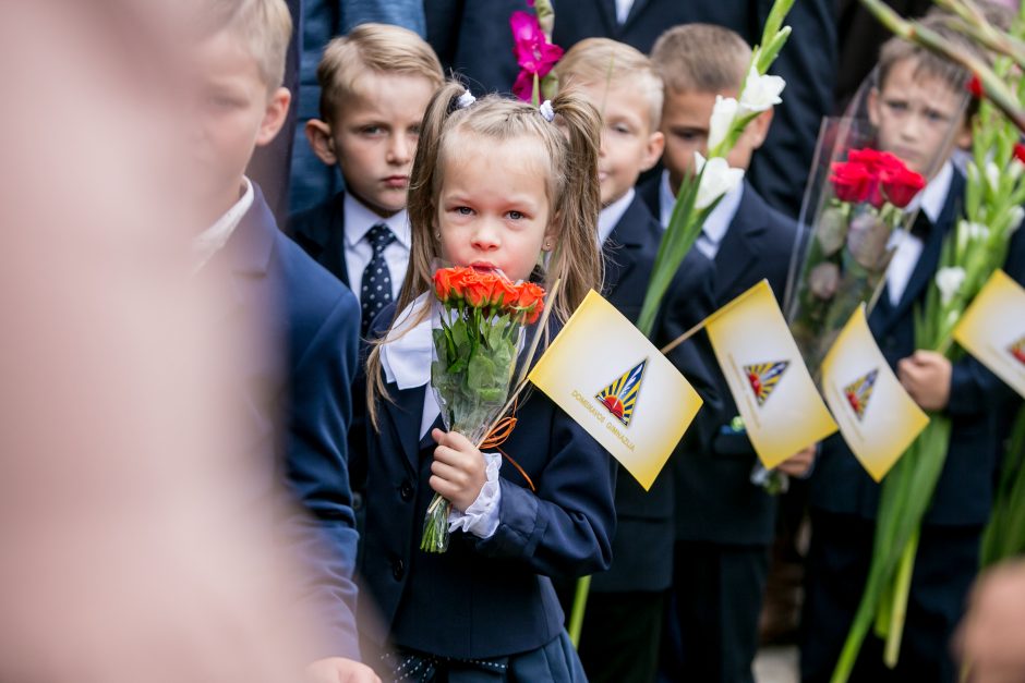 Domeikaviškiai mokysis rekonstruotoje gimnazijoje