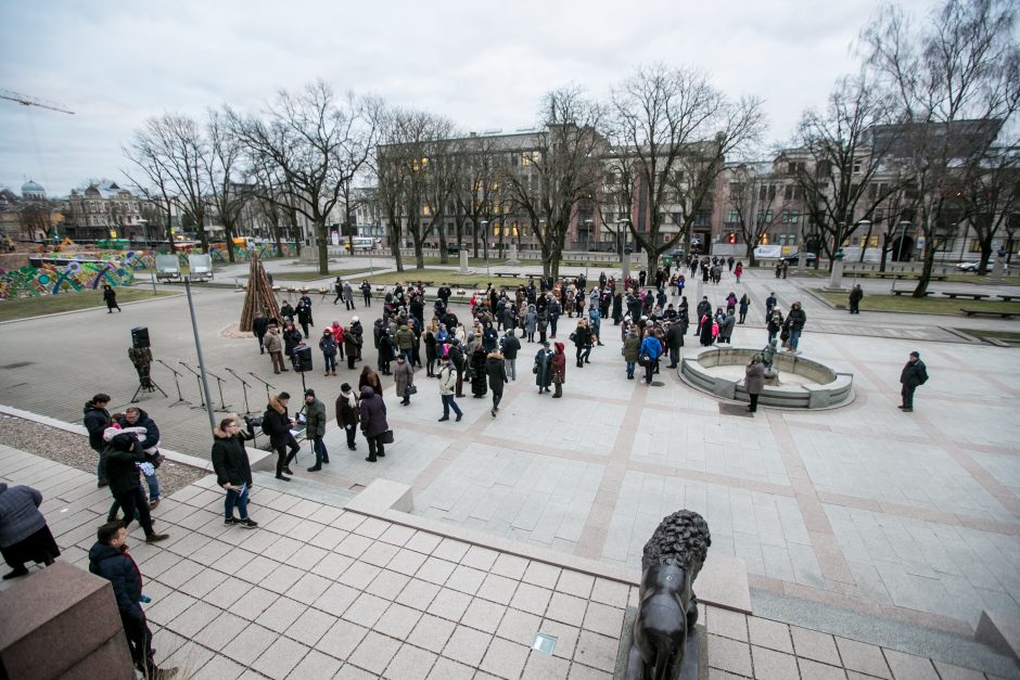 Kaune pražydo neužmirštuolių pieva (vaizdo įrašas)