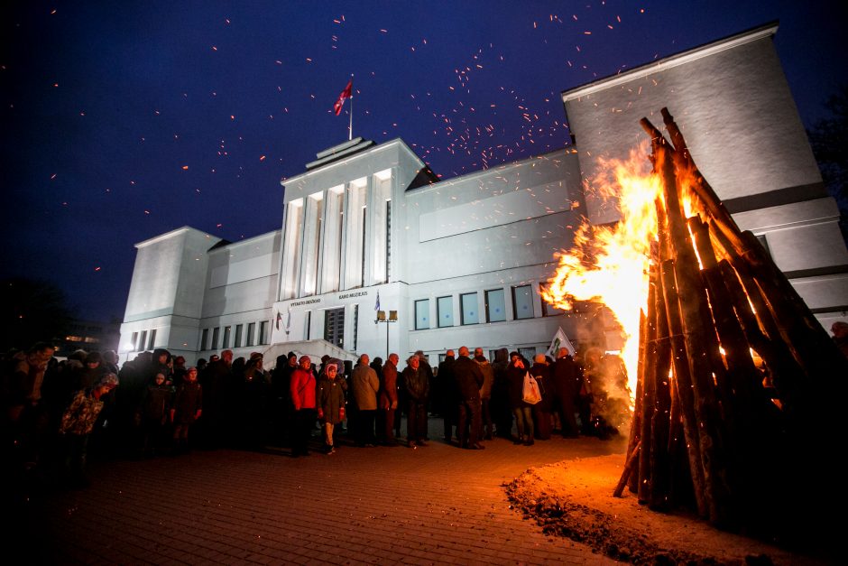 Kaune pražydo neužmirštuolių pieva (vaizdo įrašas)