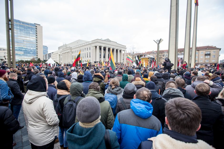 Tūkstantinė minia suplūdo į A. Tapino sušauktą mitingą prie Seimo (vaizdo įrašas)