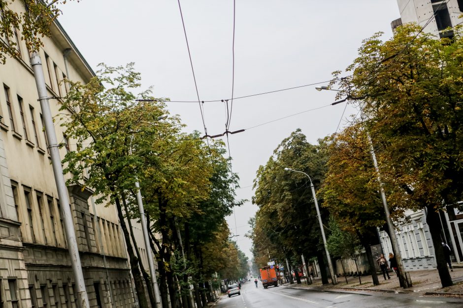 Nutrūkę troleibusų linijos laidai paralyžiavo Kęstučio g. eismą