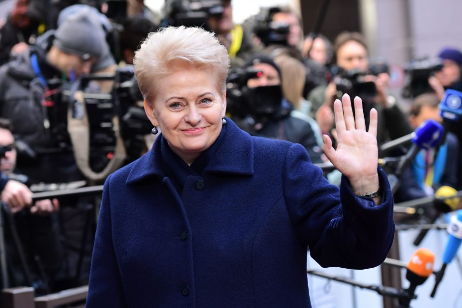 D. Grybauskaitė: civilių žudymas Sirijoje artėja prie karo nusikaltimo ribos
