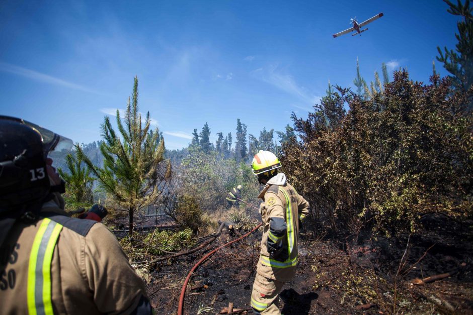 Dėl miško gaisrų Čilėje paskelbta nepaprastoji padėtis