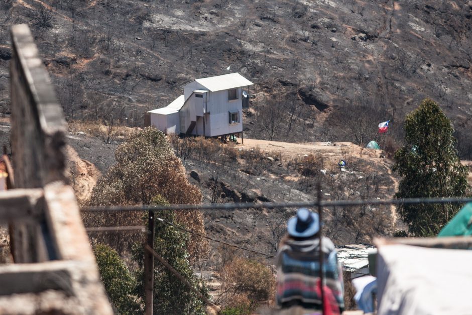 Dėl miško gaisrų Čilėje paskelbta nepaprastoji padėtis