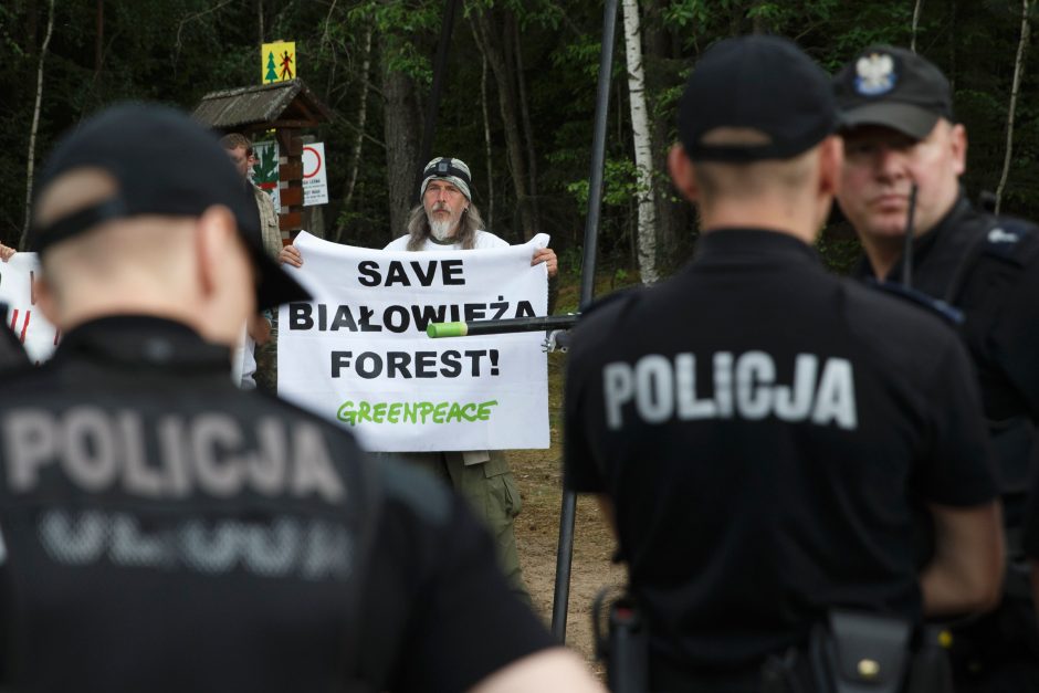 Lenkijos aktyvistai protestuoja prieš kirtimus Belovežo girioje