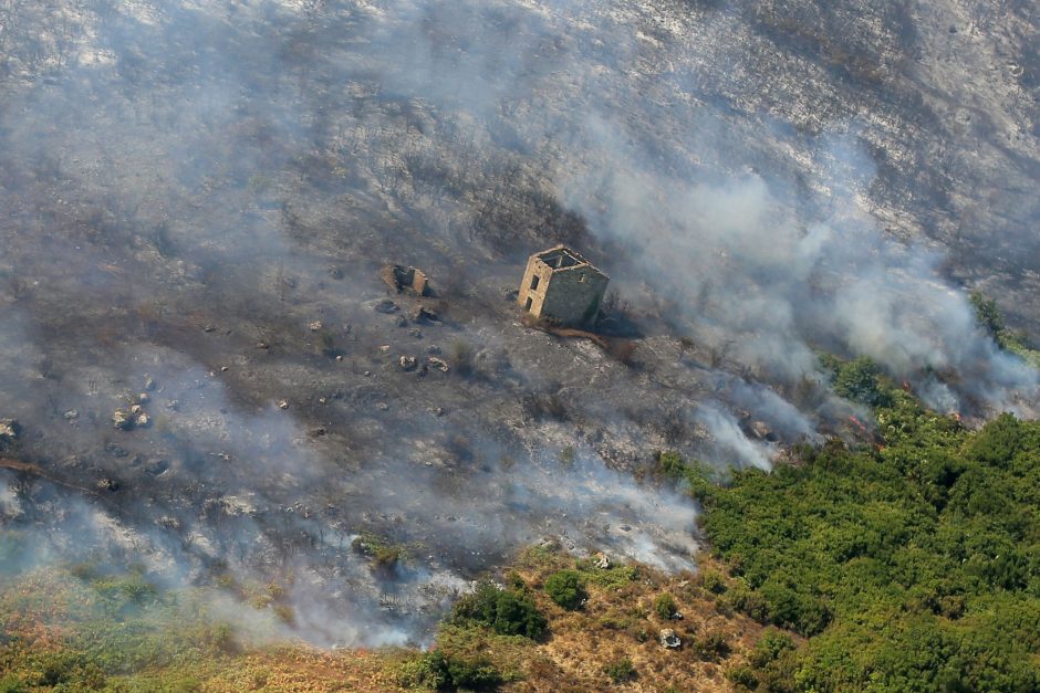 Dėl miško gaisro Prancūzijoje evakuota 10 tūkst. žmonių