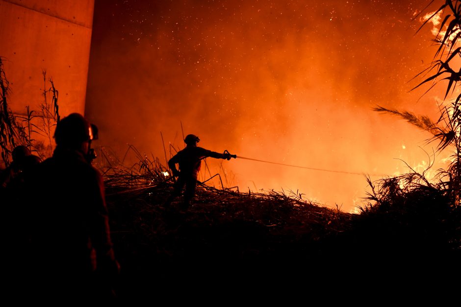 Portugalija vėl kovoja su miškų gaisrais