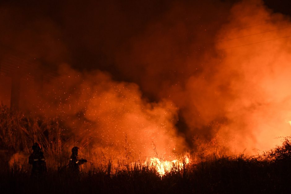 Portugalija vėl kovoja su miškų gaisrais