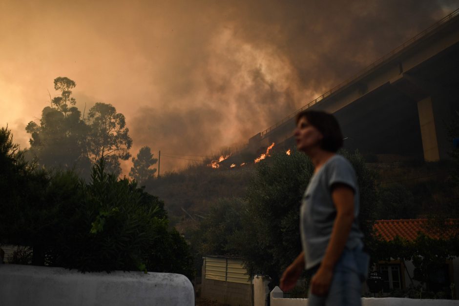 Portugalija vėl kovoja su miškų gaisrais