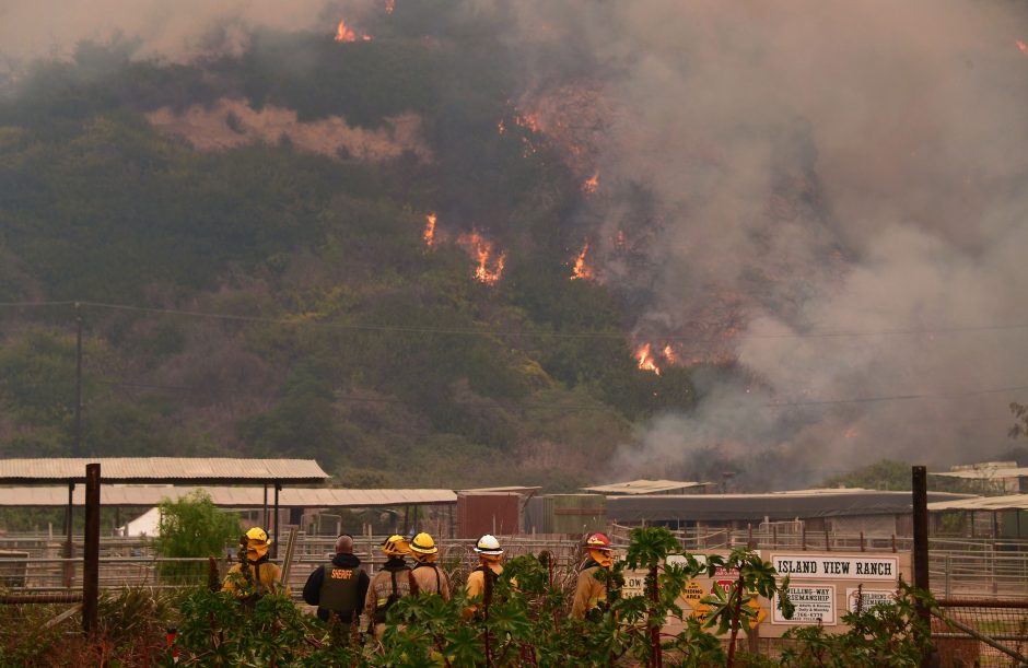 Pietų Kalifornijoje siaučiantys miškų gaisrai jau pareikalavo vienos gyvybės