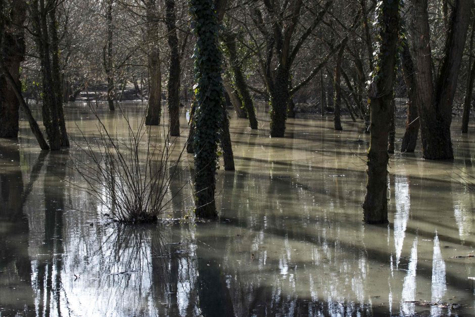 Dėl patvinusios Senos Paryžiuje stabdomas traukinių eismas