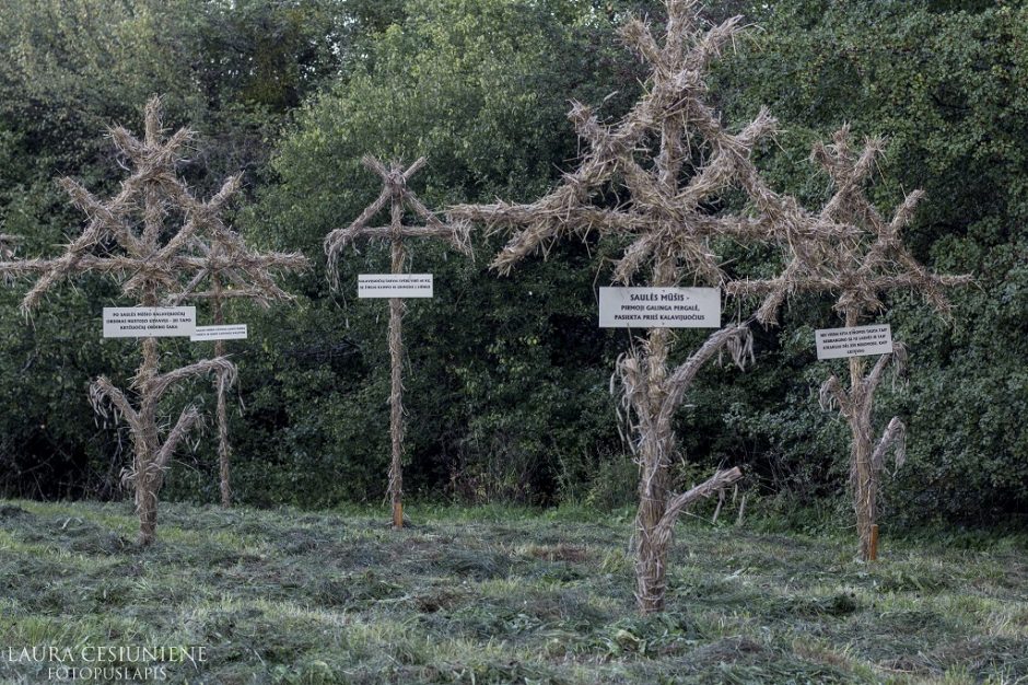 Pyplių piliakalnyje – įspūdinga Baltų vienybės ugnies sąšauka