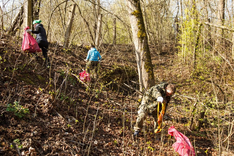 “Darom 2015”: talkininkų mažėja, nes Kaunas – kasmet švaresnis?