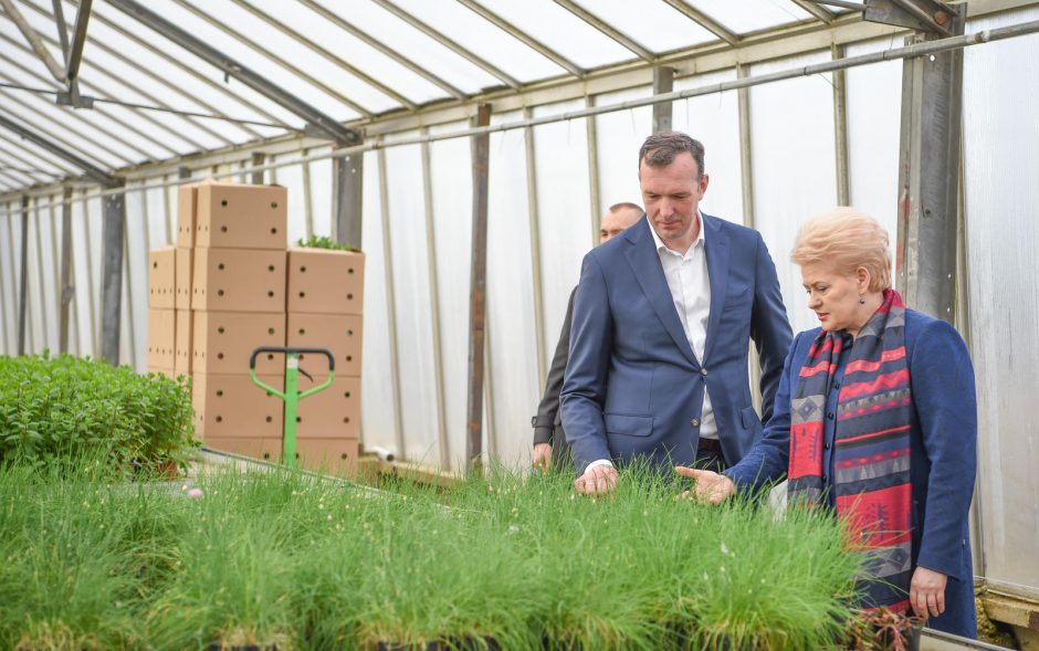 D. Grybauskaitė kviečia emigrantus imtis verslo Lietuvoje