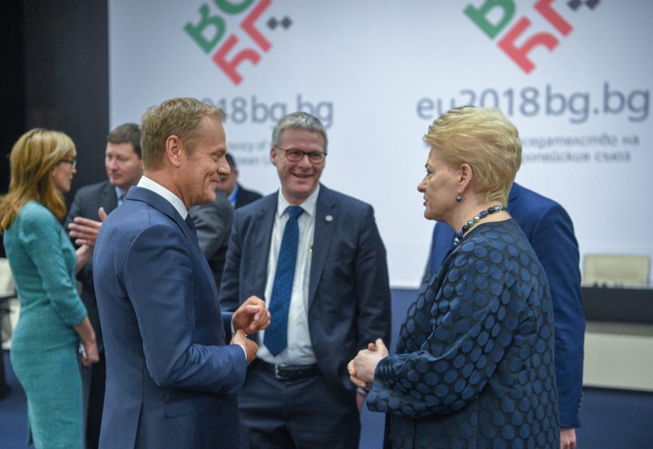 D. Grybauskaitė: JAV pasitraukimas iš Irano susitarimo daro žalą