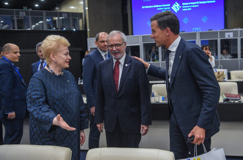 D. Grybauskaitė: JAV pasitraukimas iš Irano susitarimo daro žalą