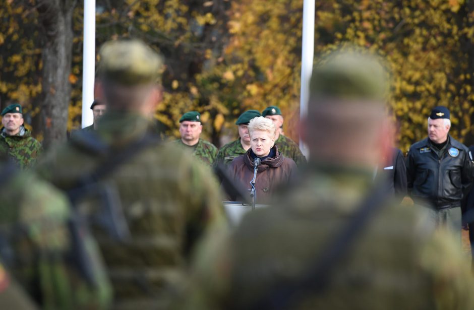 Prezidentė: informacinio karo metu demokratija negali būti skystablauzdė