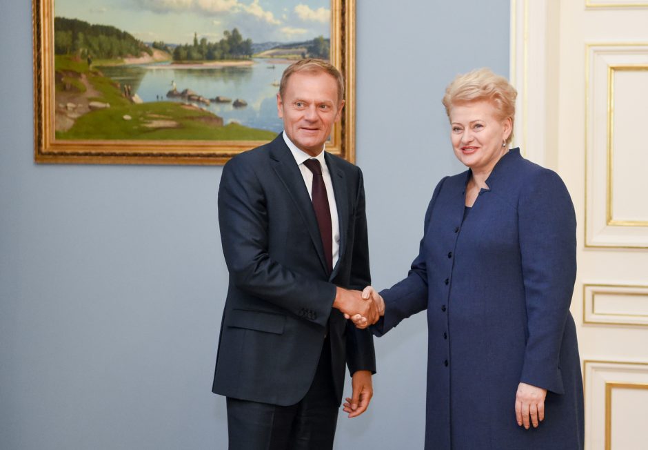 D. Grybauskaitė: ES tikslai – užtikrinti saugumą ir skatinti ekonomiką