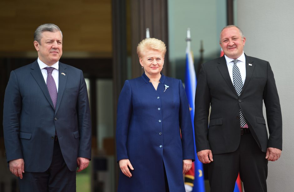 D. Grybauskaitė kartvelų kalba sveikino Sakartvelo žmones