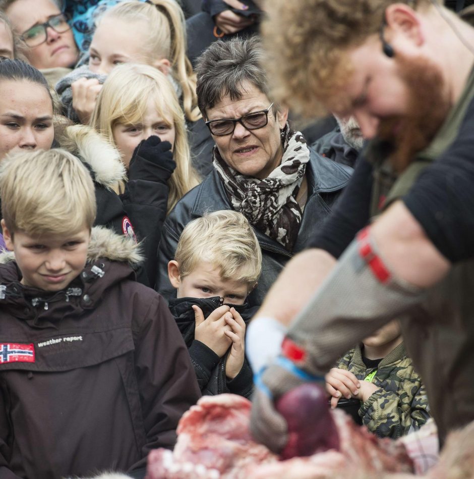 Danijos zoologijos sode liūtas išdarinėtas vaikų akivaizdoje 