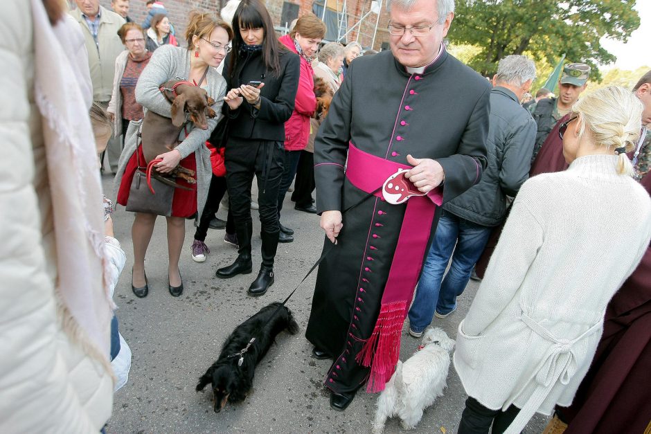 Gyvūnų dienos minėjimas Kauno senamiestyje