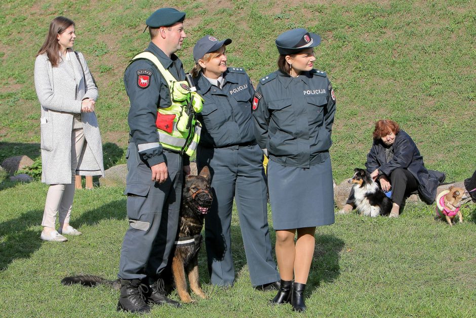 Gyvūnai okupavo senamiesčio gatves ir kavines