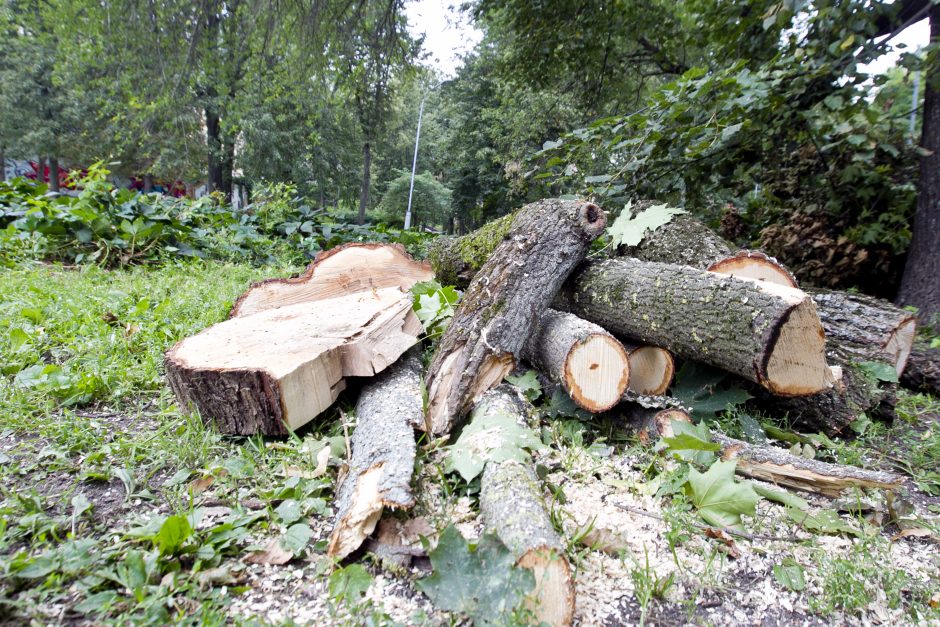 Škvalo padariniai Reformatų parke savivaldybės nedomina