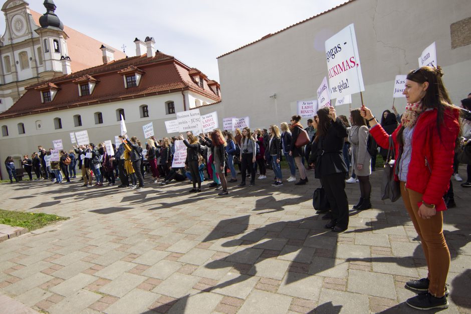 Vyriausybė neskuba teikti Seimui universitetų pertvarkos plano