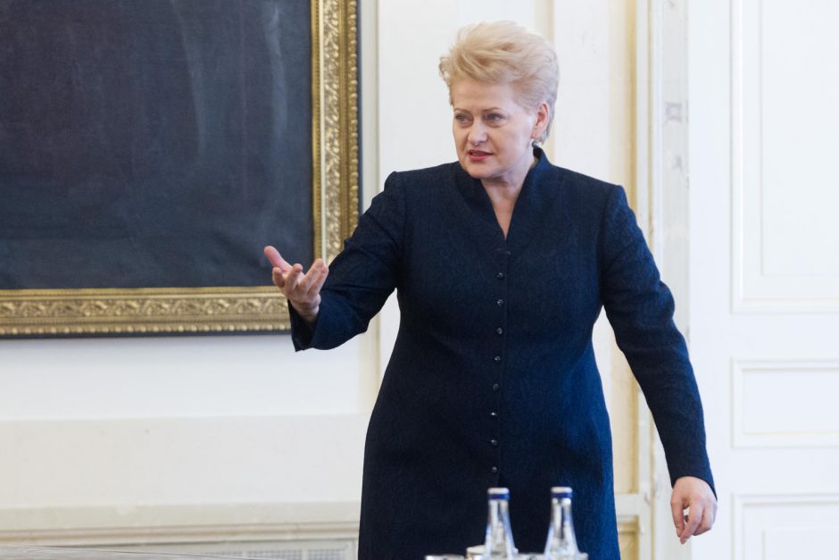 D. Grybauskaitė susitiko su Norvegijos verslininkais