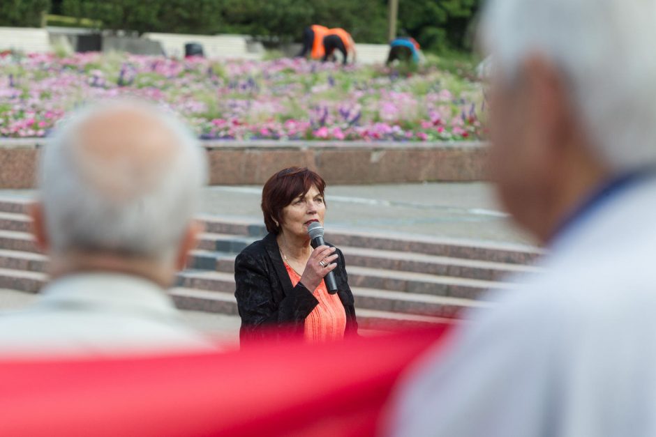 Mitingas „Šalin rankas nuo lietuvių kalbos ir nuo valstybės pamatų!“