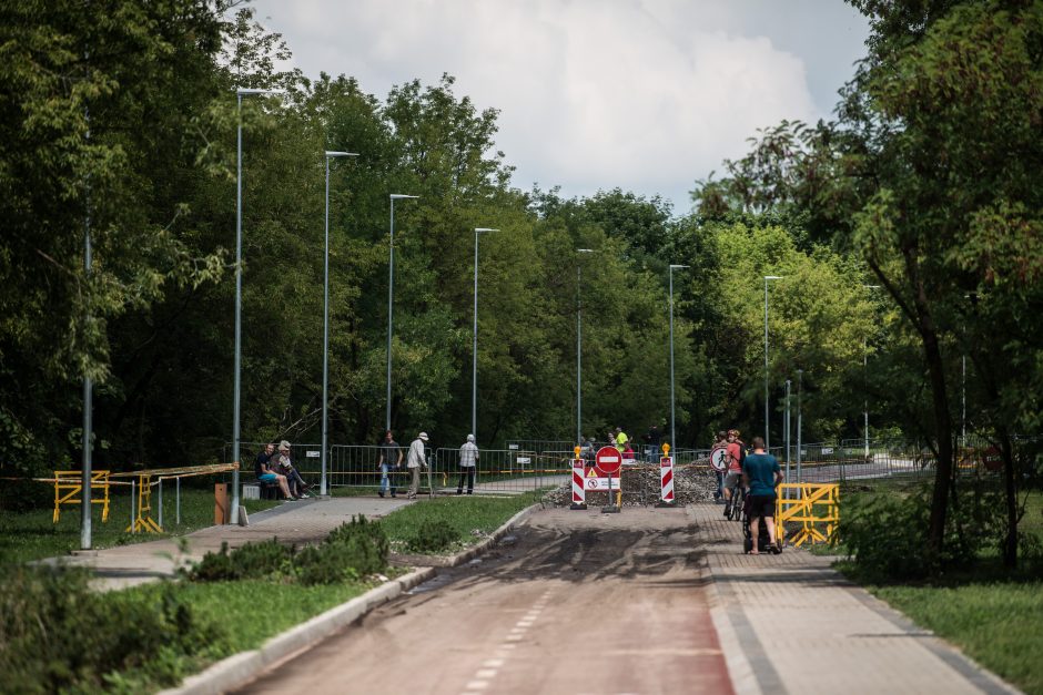 Per penktadienio liūtį Vilniuje fiksuotos aštuonios išplovos ir įgriuvos