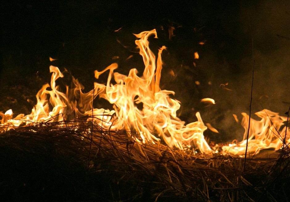 Žolės padegėjų negąsdina nei baudos, nei keliama grėsmė