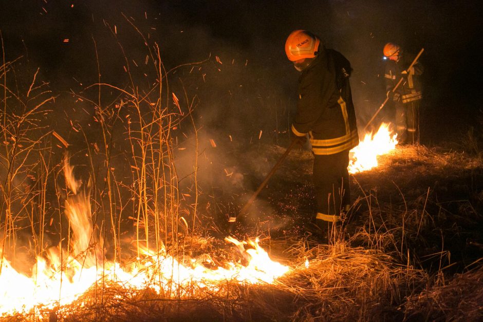 Žolės padegėjų negąsdina nei baudos, nei keliama grėsmė