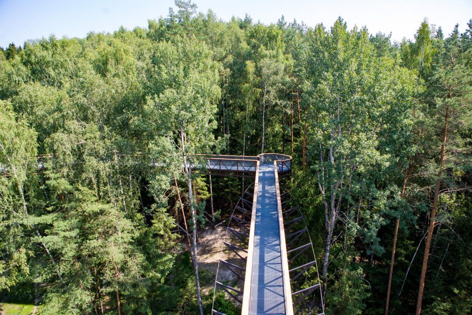 Ilgąjį Joninių savaitgalį laukiama lankytojų Medžių lajų take