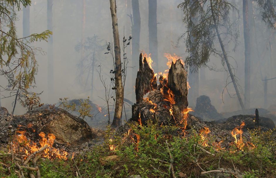 Kada gamtoje kylantys gaisrai nebūna pragaištingi?