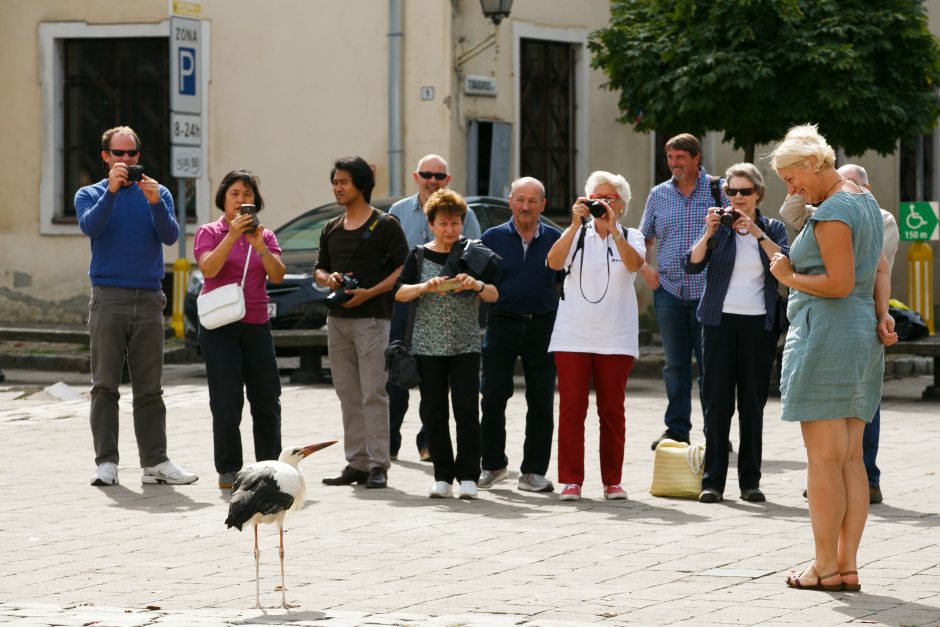 Nuotakos gali džiaugtis – rotušėje jas pasitinka gandras