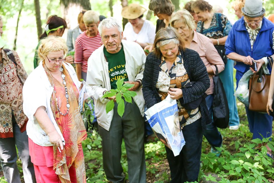 Kol nevėlu, skubėkite į pievas 