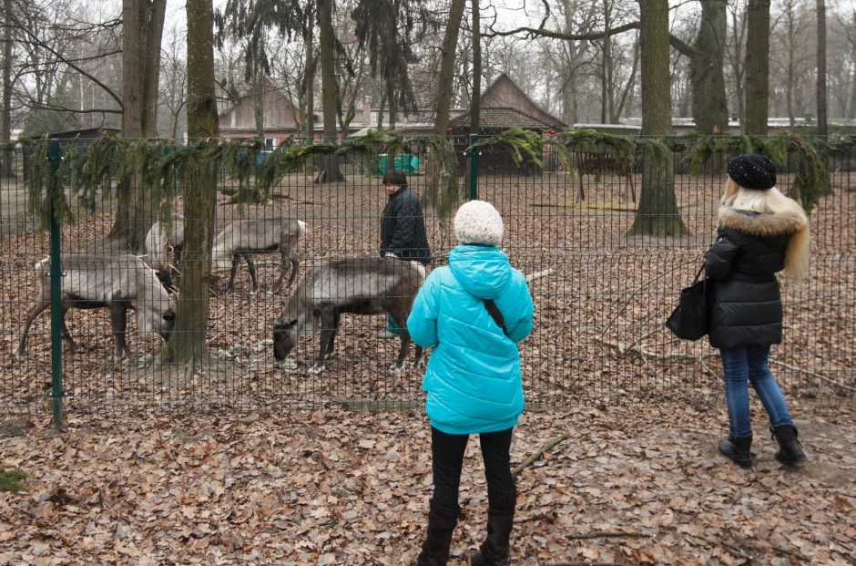 Pietūs Lietuvos zoologijos sode