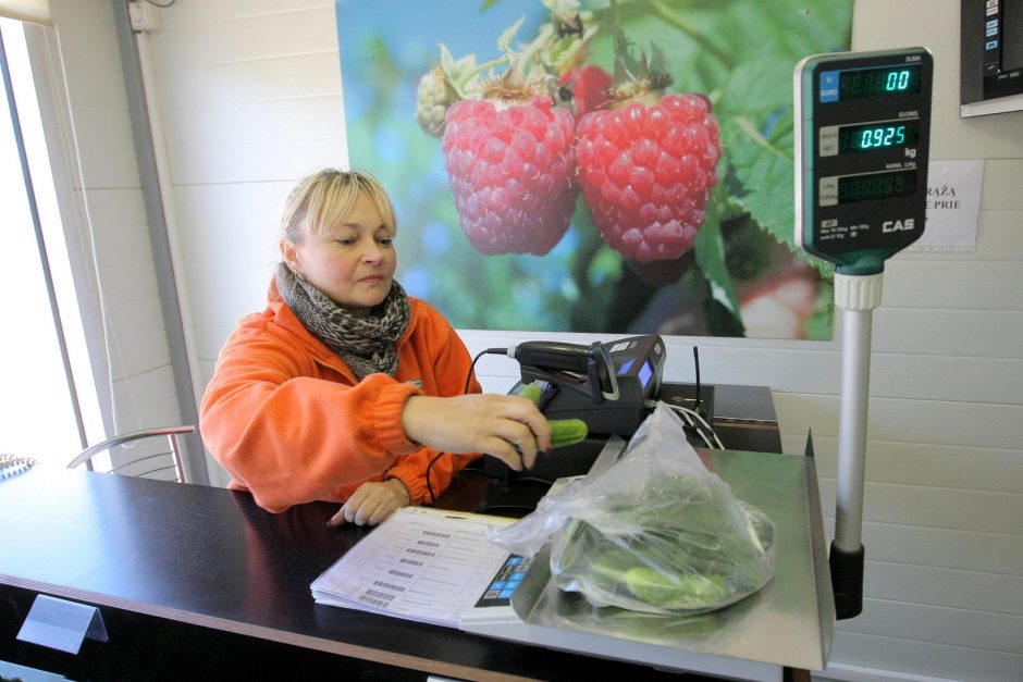 Pakaunės sodininkai įspėja vengti perpardavinėtojų